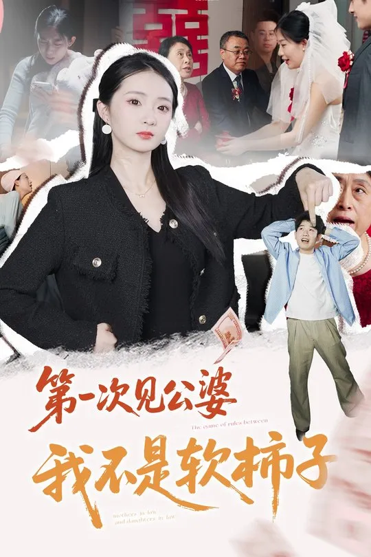 第一次见公婆我不是软柿子-家庭情感海报