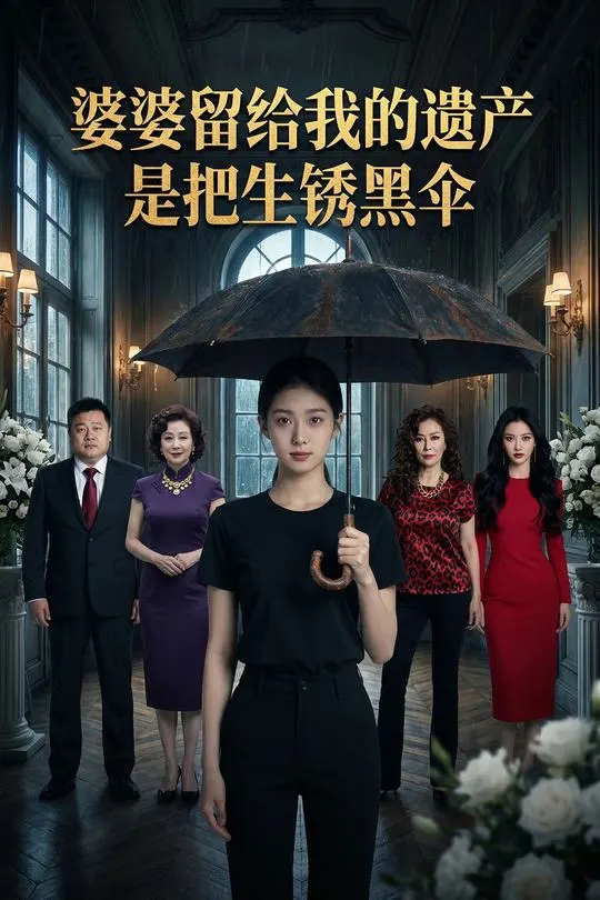 婆婆留给我的遗产是把生锈黑伞-动漫合集海报