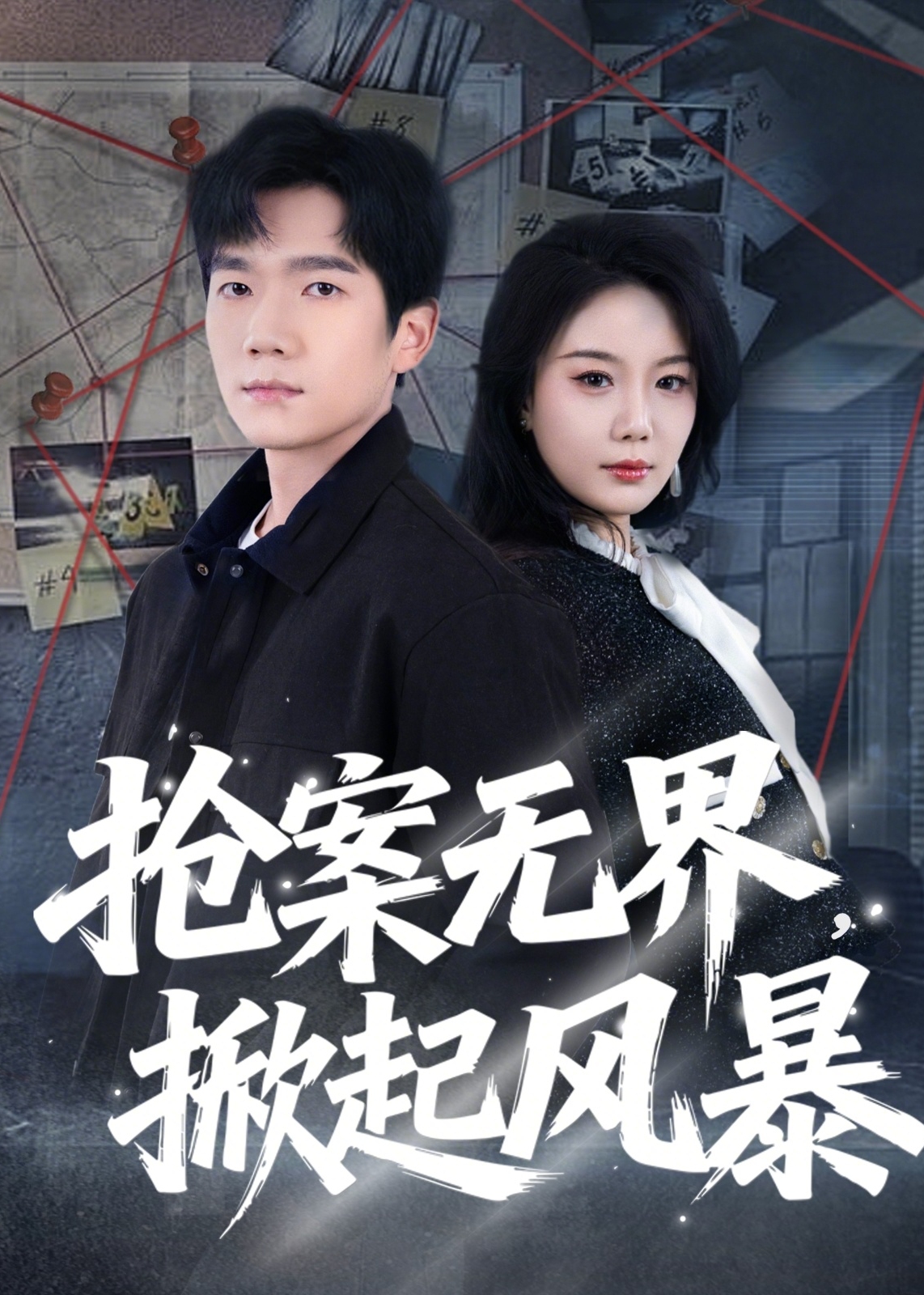 抢案无界掀起风暴-都市日常海报