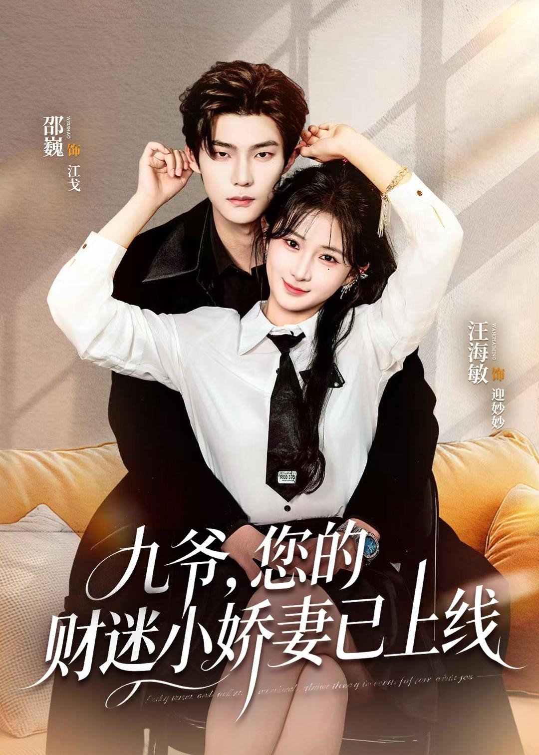 九爷您的财迷小娇妻已上线-现代甜蜜海报