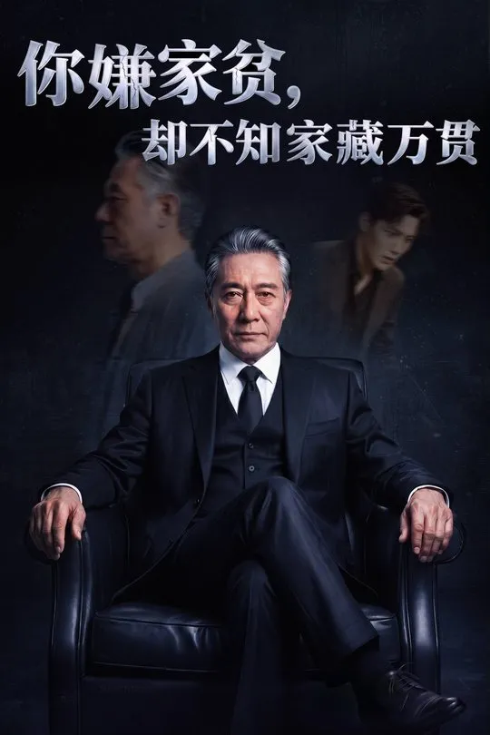你嫌家贫却不知家藏万贯-动漫合集海报