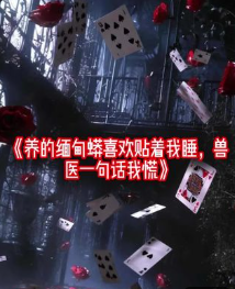 养的缅甸蟒喜欢贴着我睡兽医一句话我慌了-动漫合集