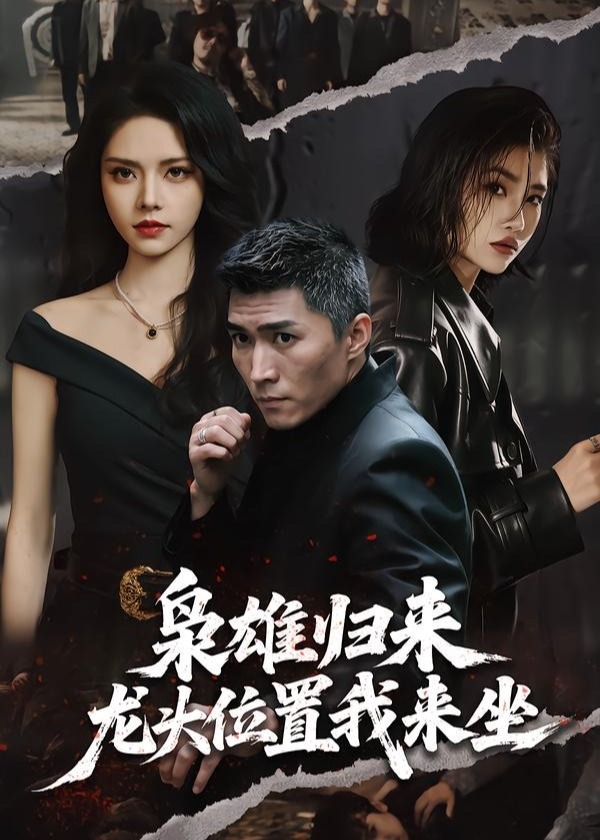 枭雄归来龙头位置我来坐-都市言情