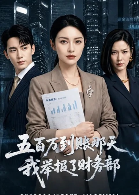 五百万到账那天我举报了财务部-动漫合集