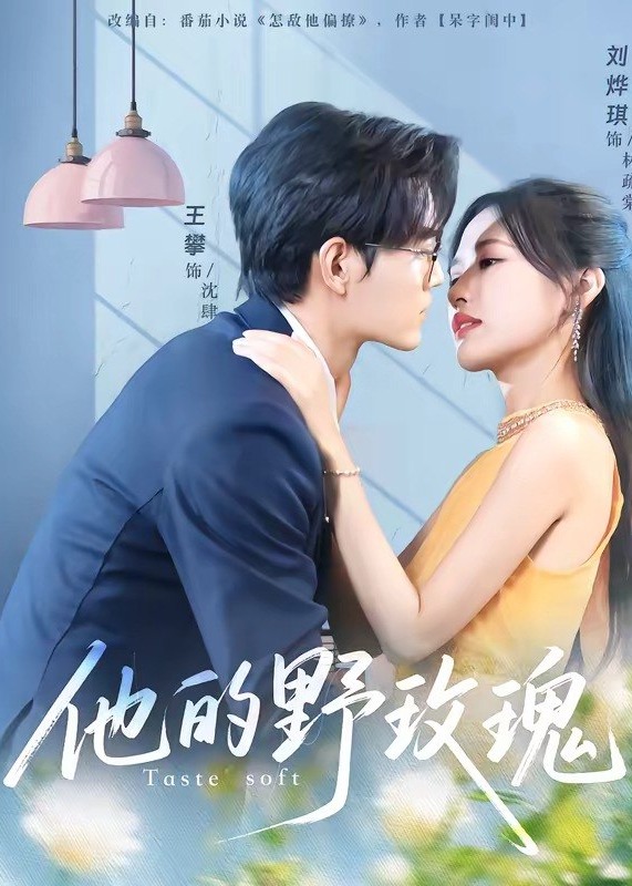 他的野玫瑰-动漫合集