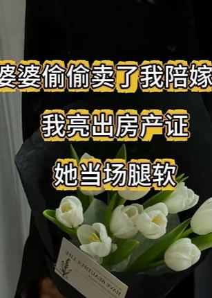 陪嫁不是提款机-动漫合集