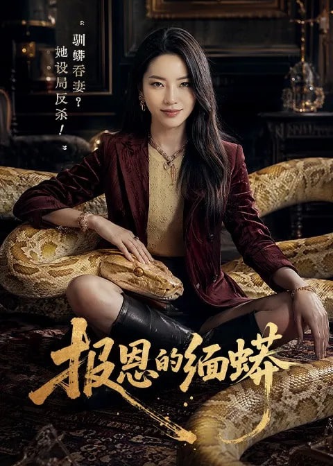 报恩的缅蟒-动漫合集海报