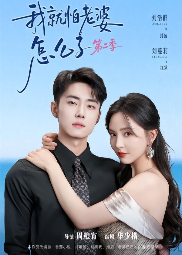 我就怕老婆怎么了第二季-都市言情海报