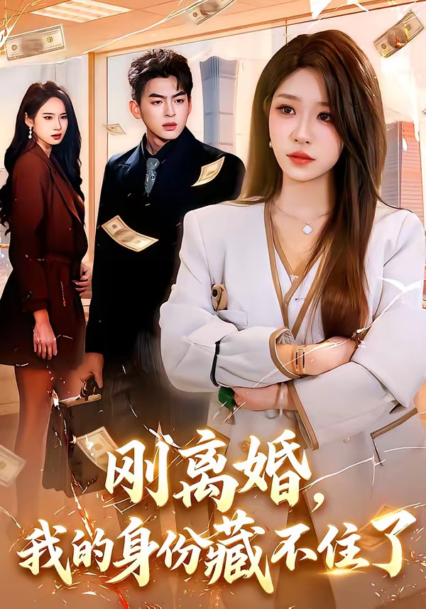 刚离婚我的身份藏不住了-都市日常海报