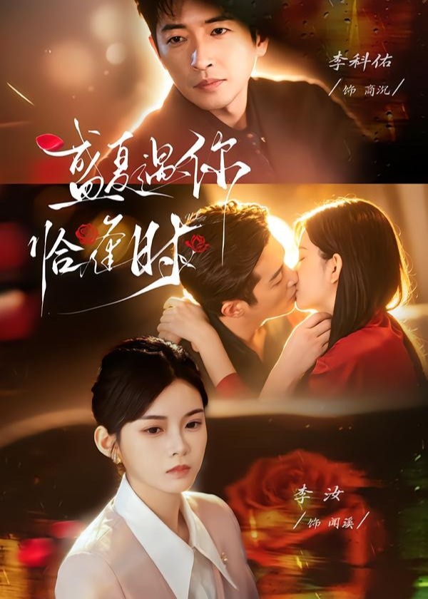 婚夜温柔＆盛夏遇你恰逢时-都市言情