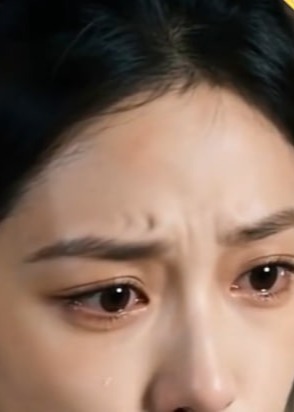 尘埃里开出的状元花-动漫合集海报