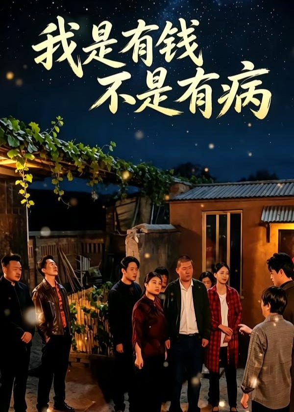 我是有钱不是有病-都市日常海报