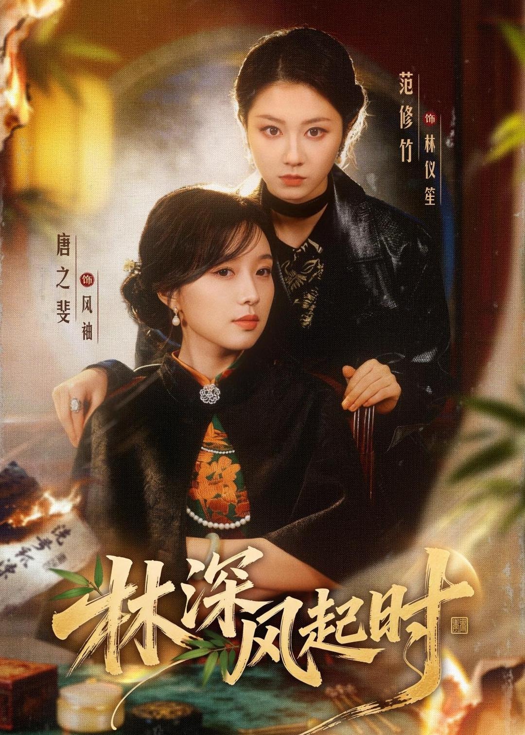 林深风起时-都市言情海报