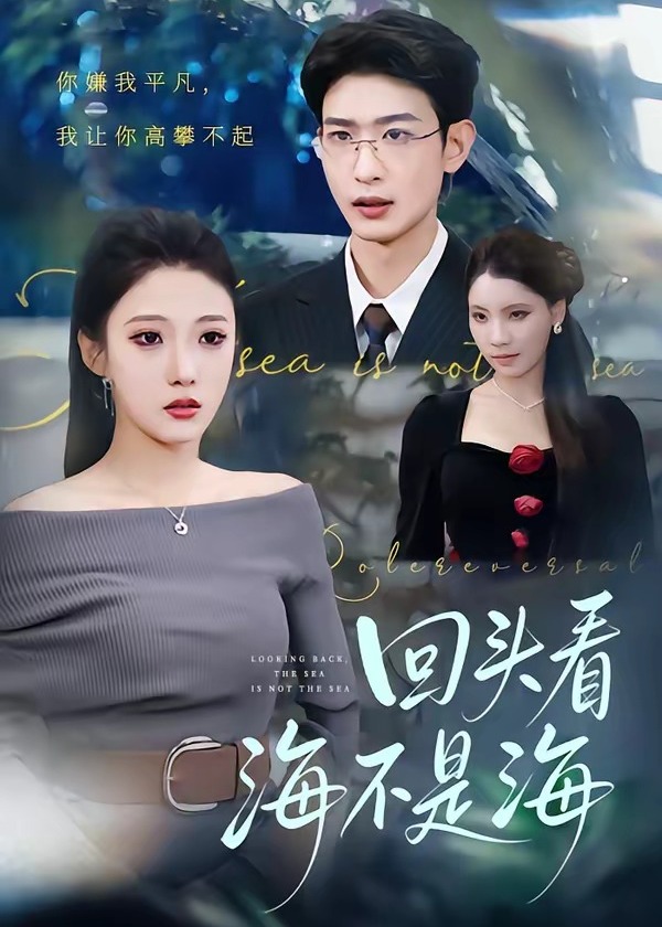 回头看海不是海-都市言情海报
