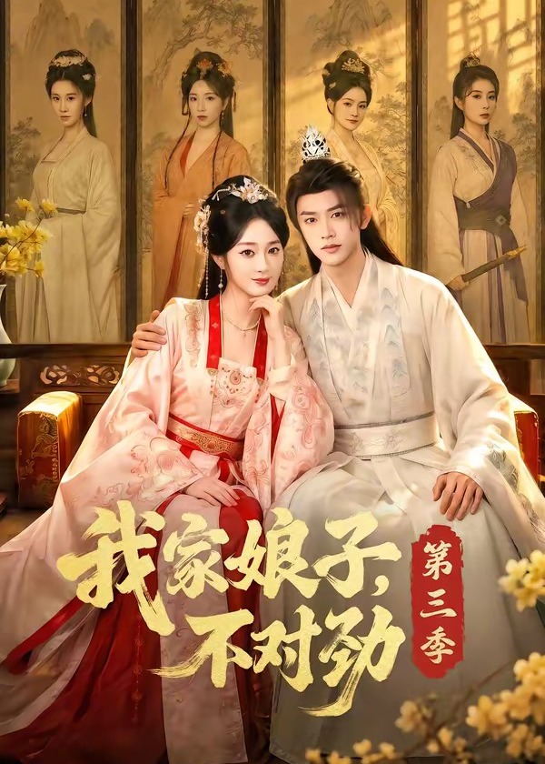 我家娘子不对劲第三季-古风言情海报