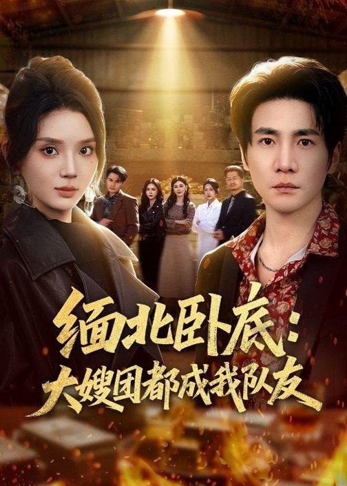 缅北卧底大嫂团都成我队友-都市脑洞海报