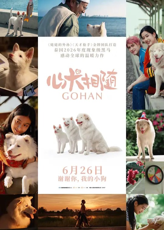 心犬相随