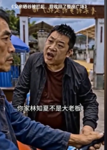 父亲晒谷被拦后我收回了整座广场-动漫合集海报