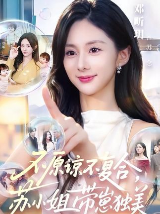 不原谅不复合苏小姐带崽独美-都市言情海报