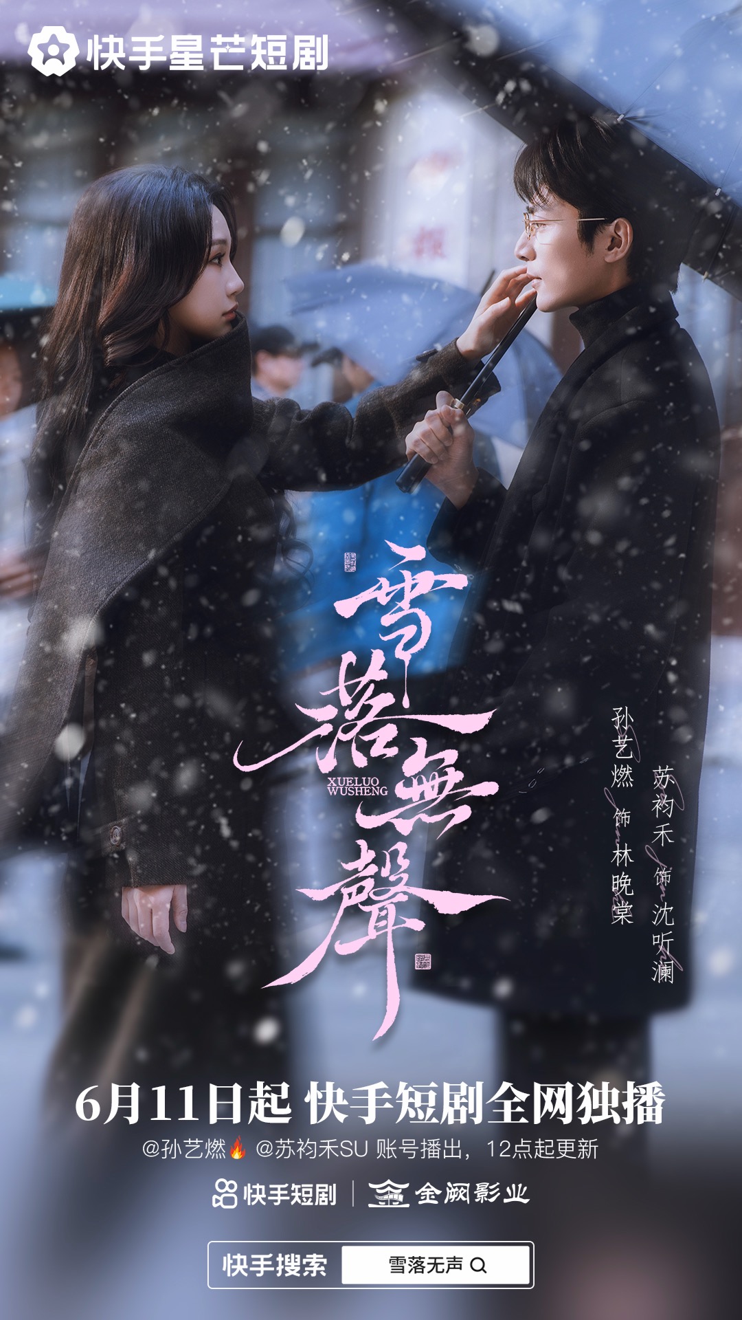 雪落无声-年代感情海报
