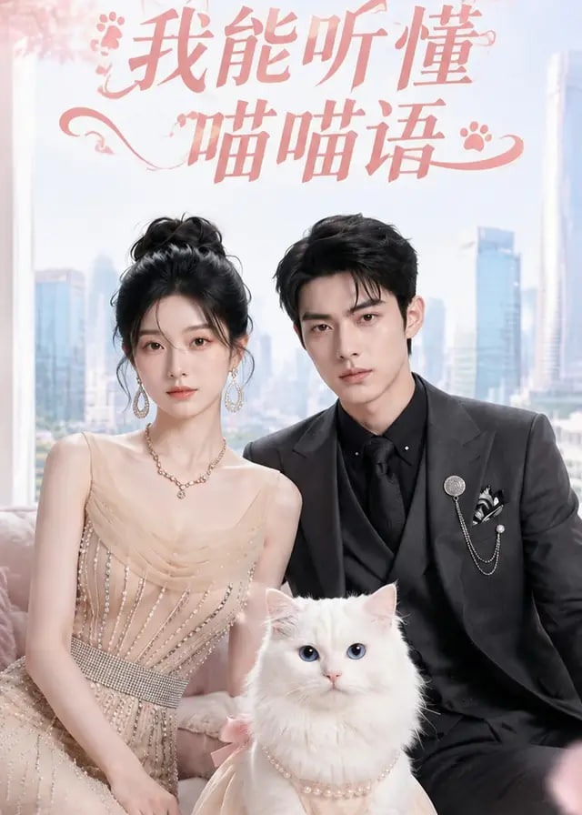 我能听懂喵喵语-动漫合集