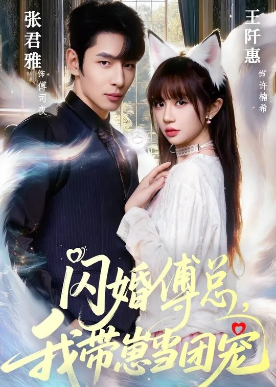 闪婚傅总我带崽当团宠-现代甜宠海报