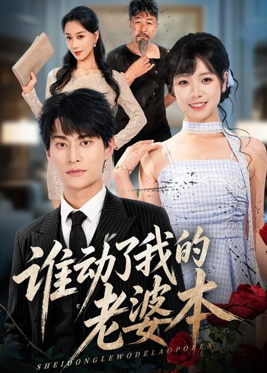 谁动了我的老婆本-都市言情