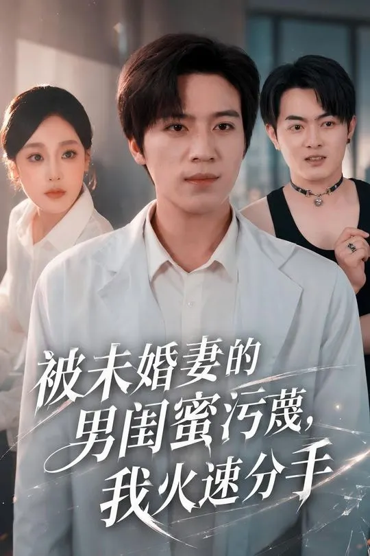 被未婚妻的男闺蜜污蔑我火速分手-都市言情海报图片