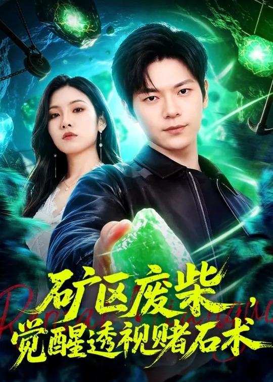 矿区废柴觉醒透视赌石术-奇幻异能