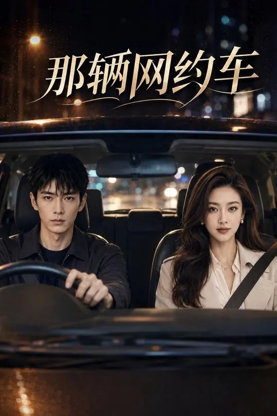 那辆网约车-动漫合集