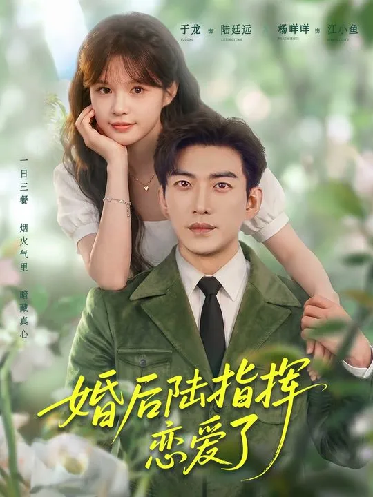 婚后陆指挥恋爱了-都市言情
