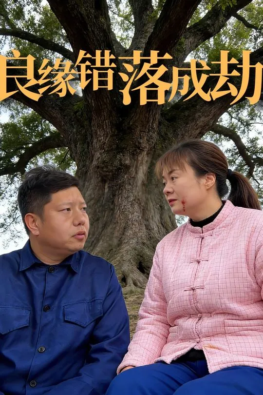 良缘错落成劫-动漫合集