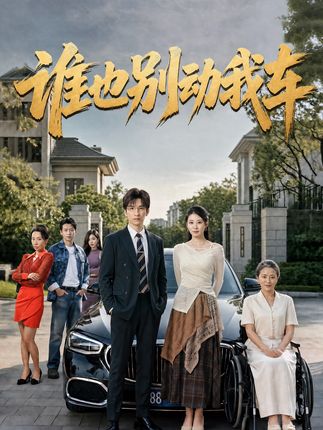 谁也别动我车-都市情感