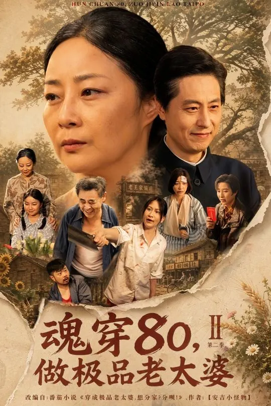 第二季魂穿80做极品老太婆-都市重生