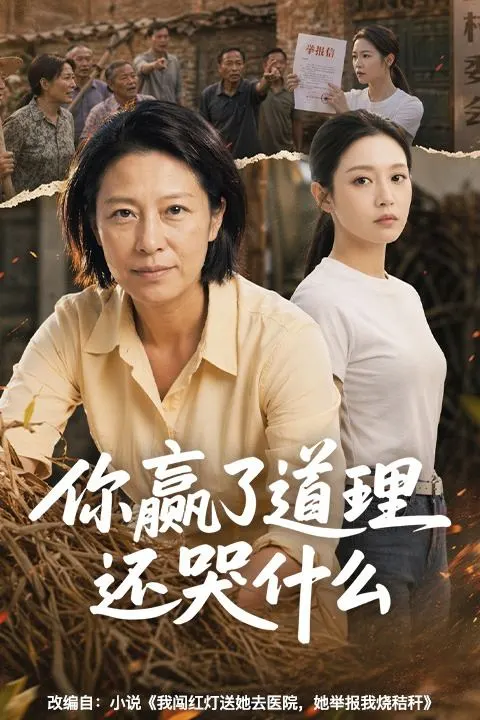 你赢了道理还哭什么-动漫合集