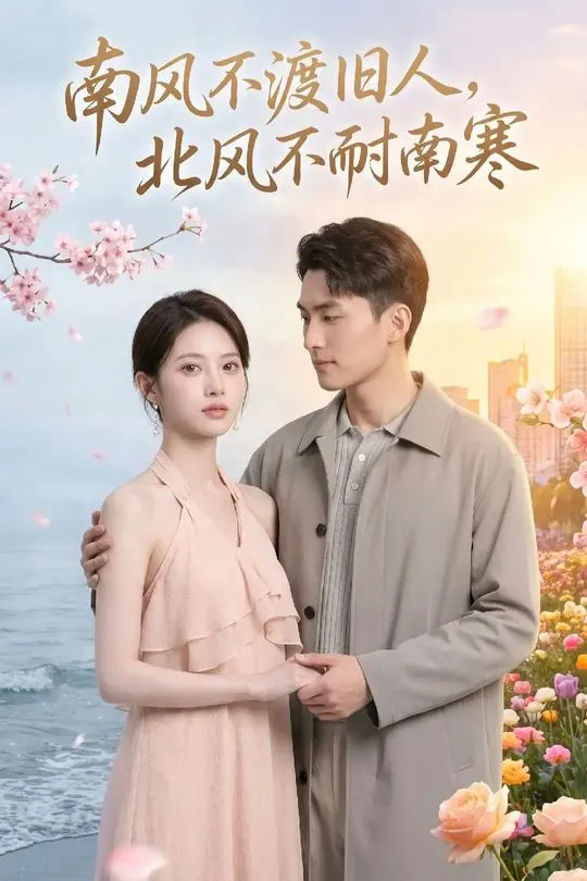南风不渡旧人北风不耐南寒-都市言情