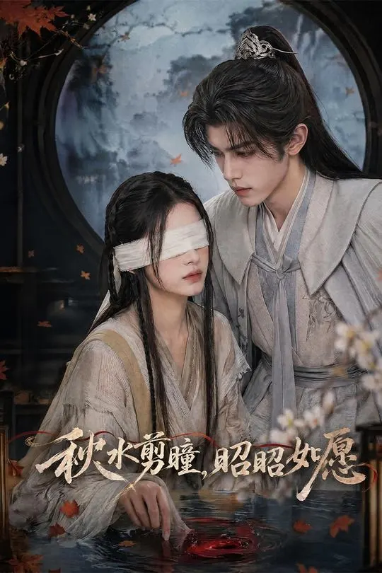 秋水剪瞳昭昭如愿-动漫合集