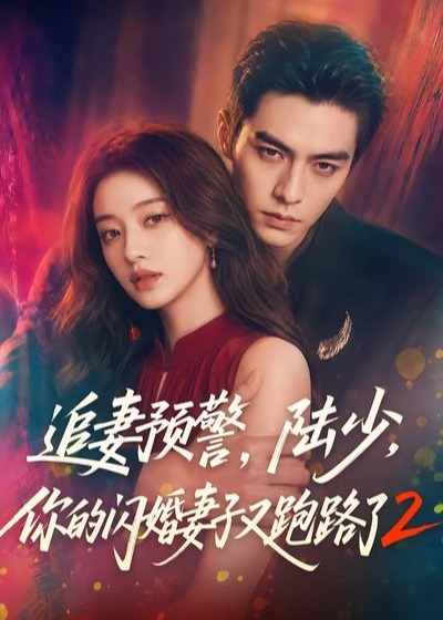 追妻预警陆少你的闪婚妻子又跑路了2-都市爱情