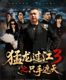 猛龙过江3之只手遮天-现代社会