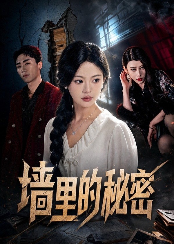 墙里的秘密-都市逆袭