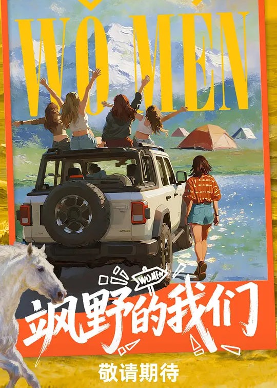 向野的我们海报