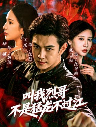 叫我烈哥不是猛龙不过江-现代社会海报