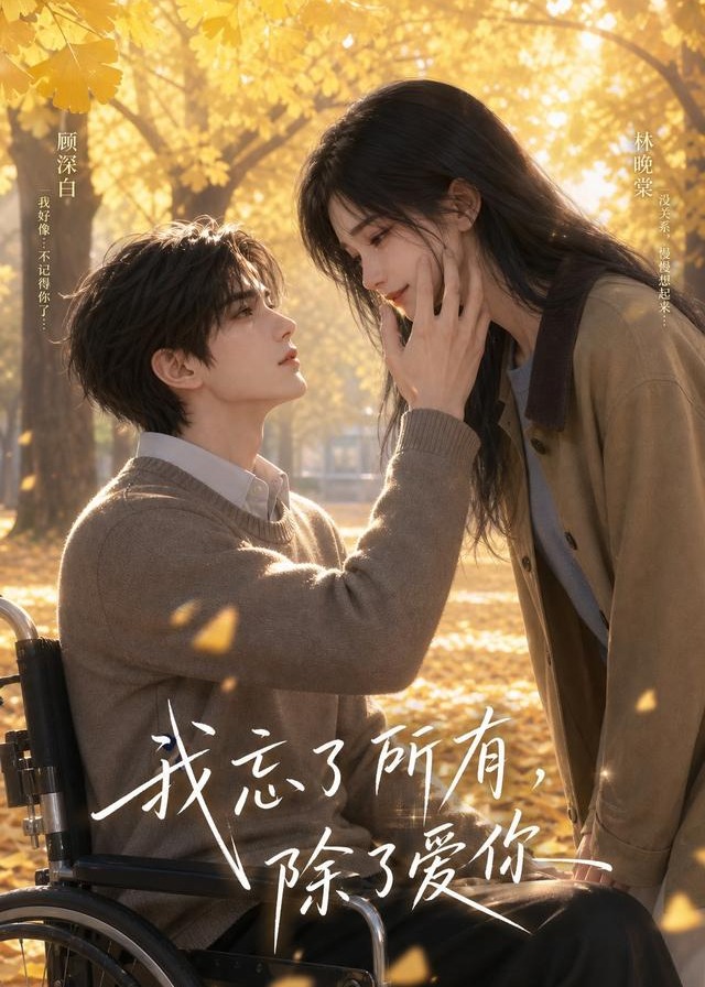 我忘了所有除了你-动漫合集海报