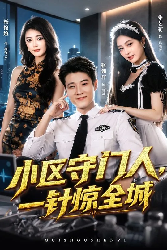 小区守门人一针惊全城-动漫合集海报