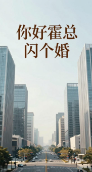 你好霍总闪个婚-动漫合集