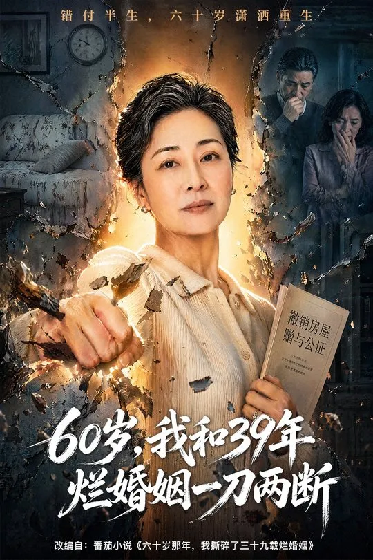 60岁我和39年烂婚姻一刀两断-动漫合集海报