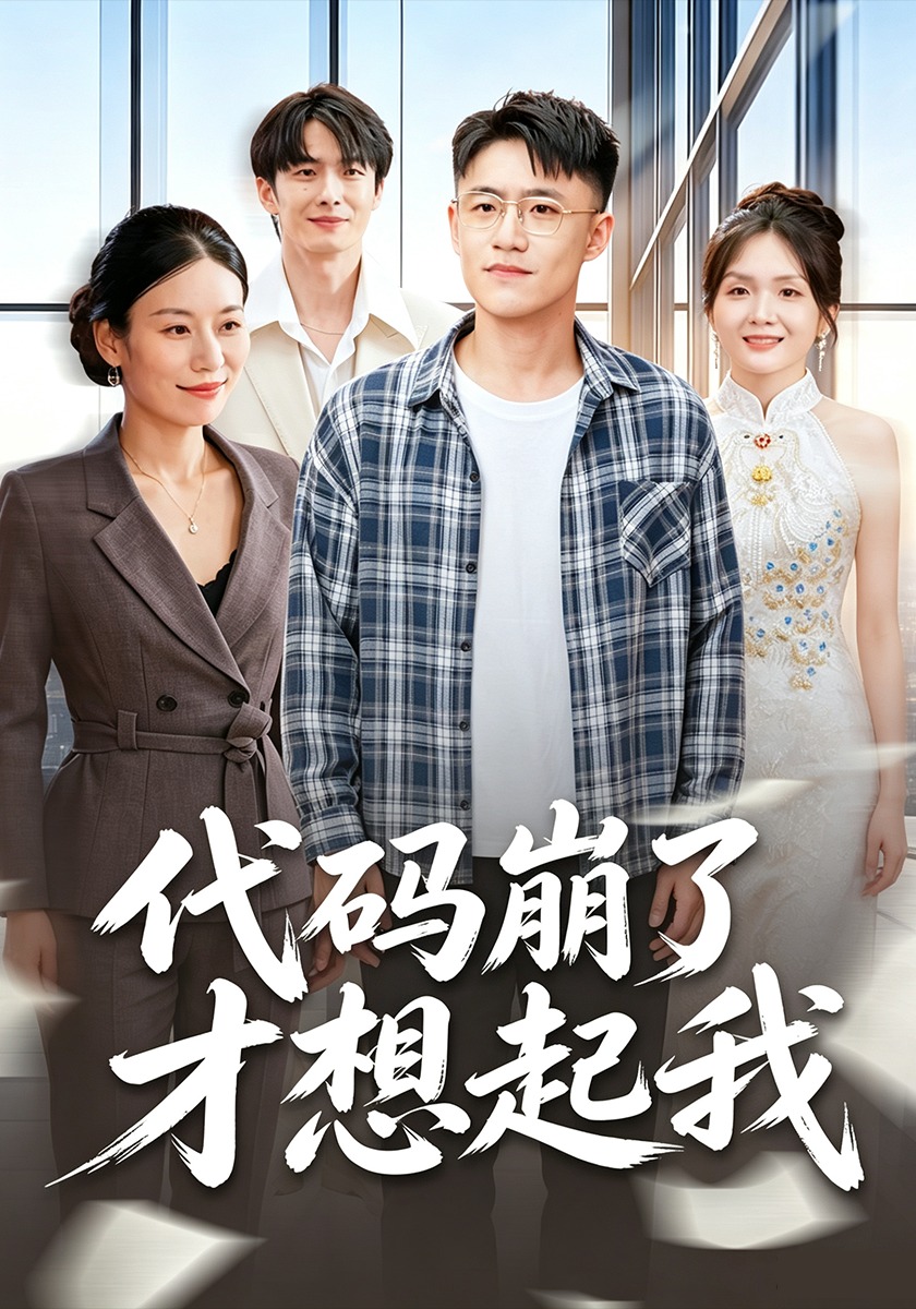 代码崩了才想起我-都市日常海报