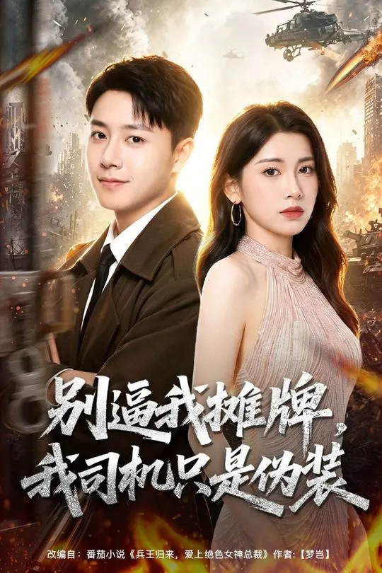 别逼我摊牌我司机只是伪装-动漫合集海报