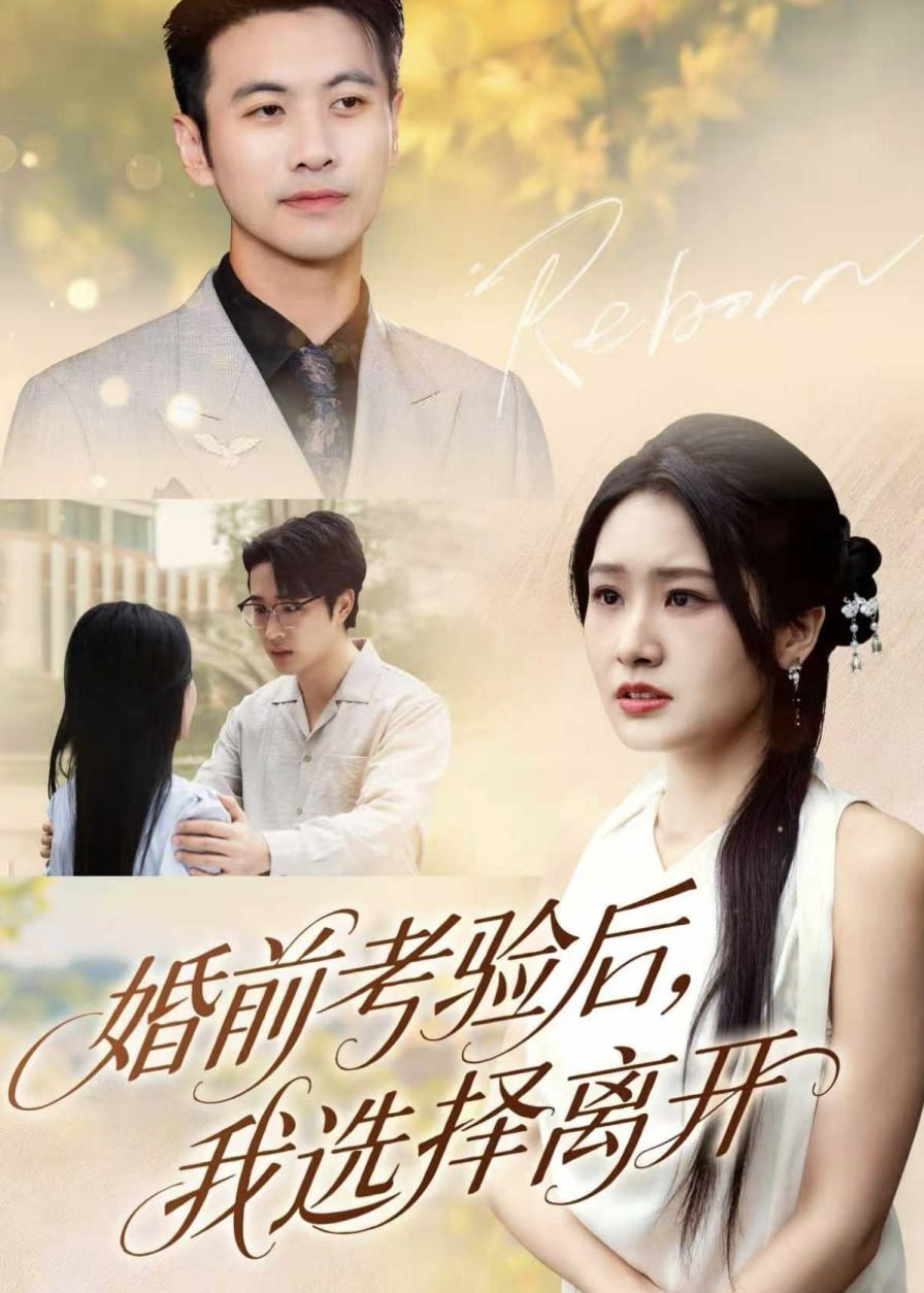 婚前考验后我选择离开-动漫合集海报