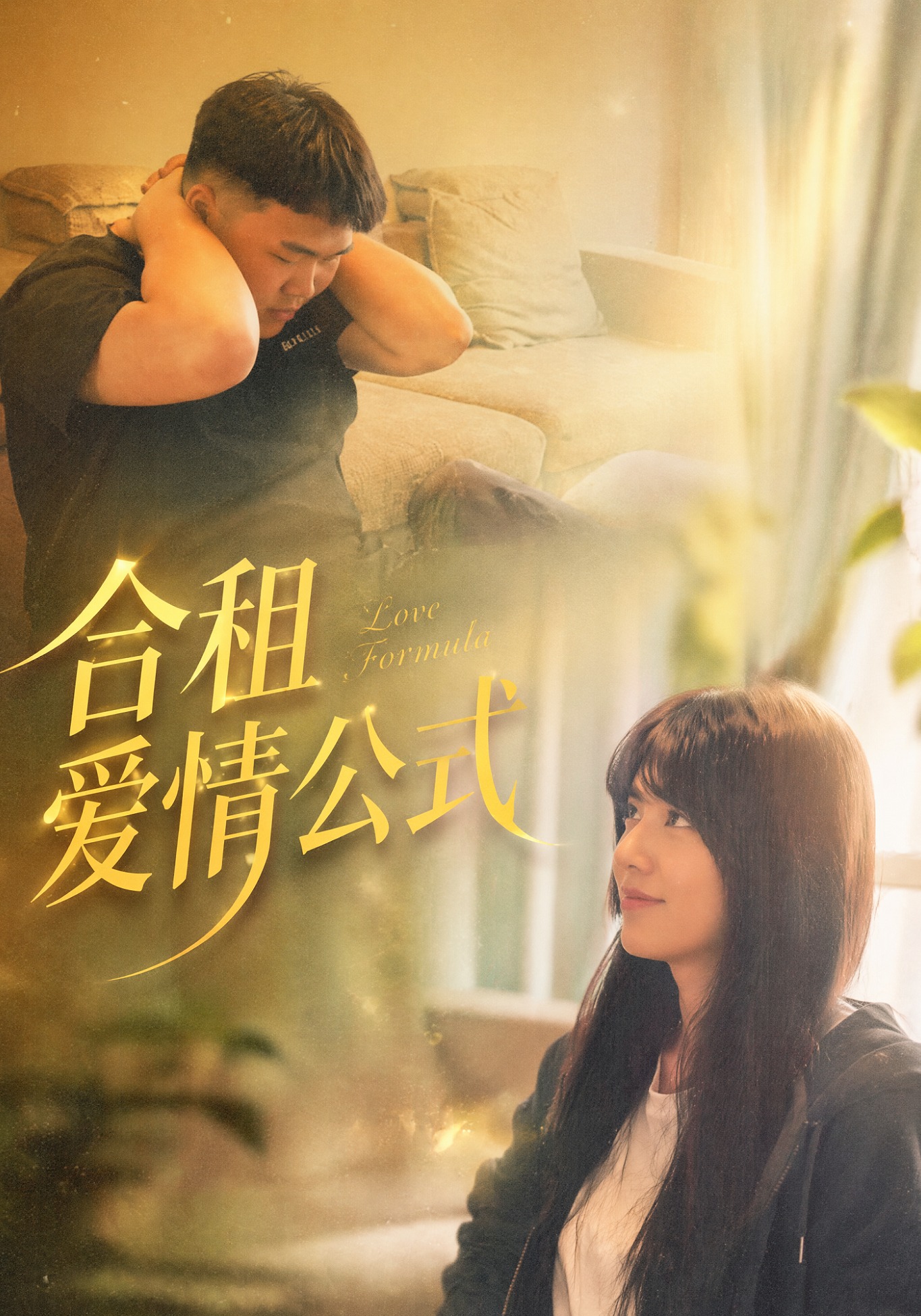合租爱情公式-都市言情海报